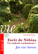 45 HL FILM - Forêt de Nébias - Un endroit enchanteur ! - Jan van Aarsen 